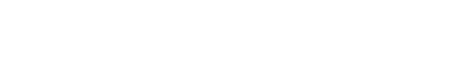 w2w logo white