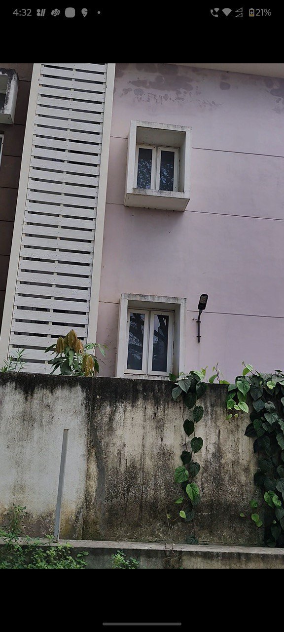 photo 2026 01 12 18 08 46