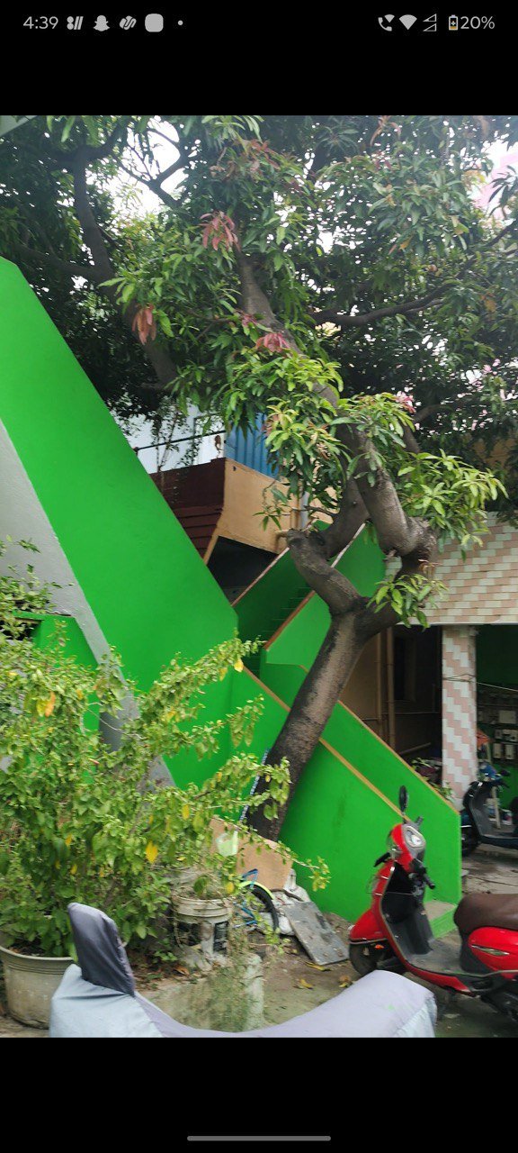 photo 2026 01 12 18 08 52