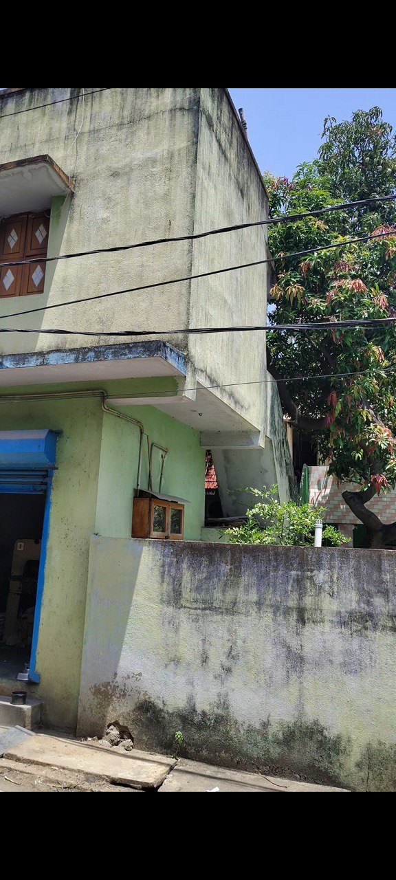 photo 2026 01 12 18 08 53